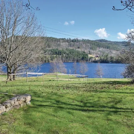 Nice In Neslandsvatn With Lägenhet *